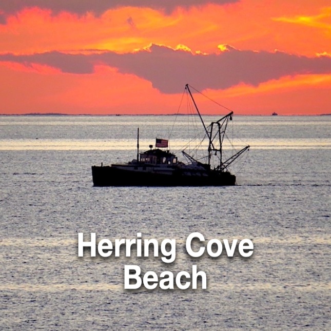 Herring Cove