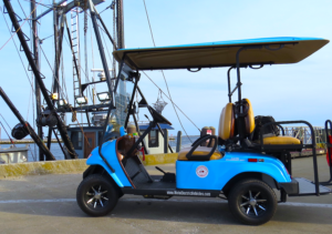 Ptown Carts Golf Cart Blue